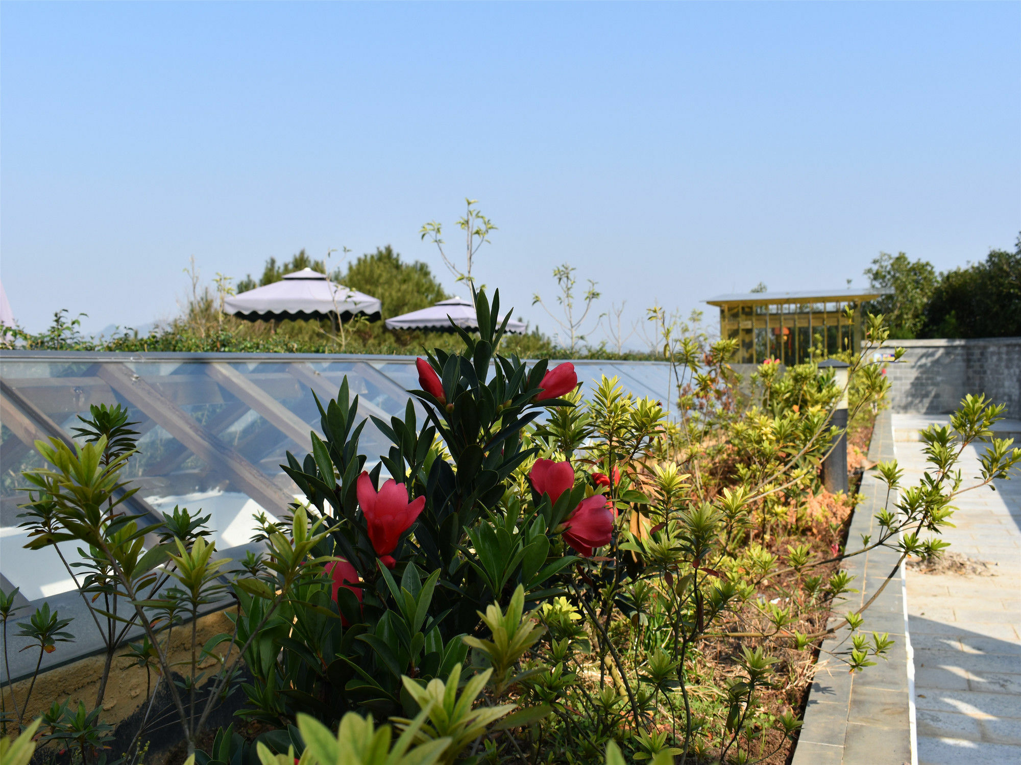 Yangshuo Mountain Top Retreat Luaran gambar